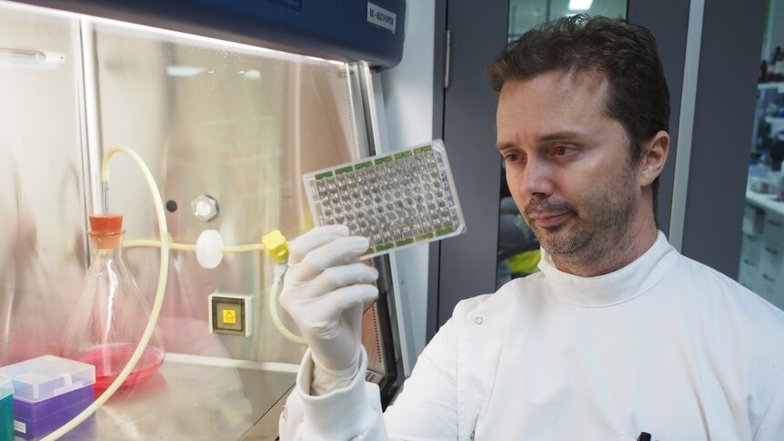 Dr Michael Smout holding up and examining a xCELLigence E-plate