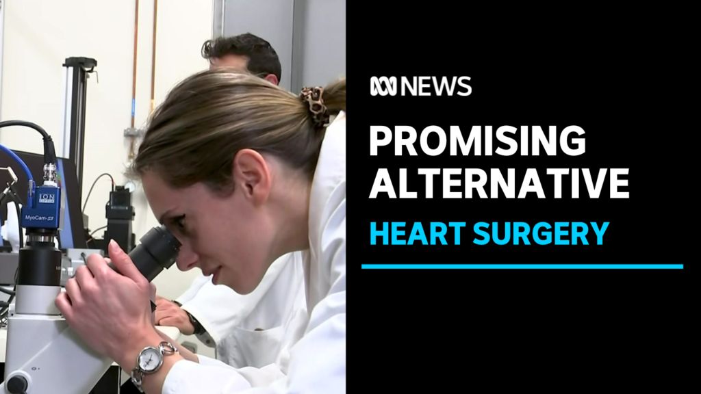 Researchers engineer alternative to open heart surgery - ABC News