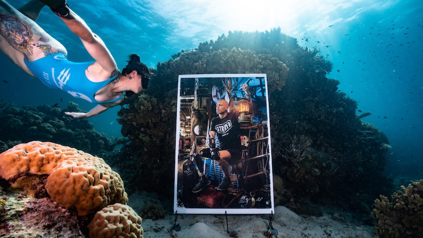 A diver swims past a painting submerged next to coral on the Great Barrier Reef