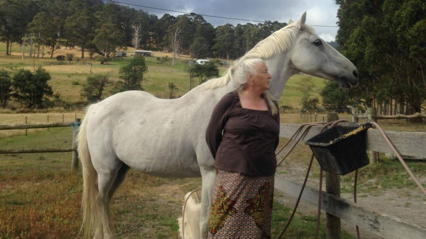 Woman in the countryside, standing with a white horse. They're both looking away in the same direction.