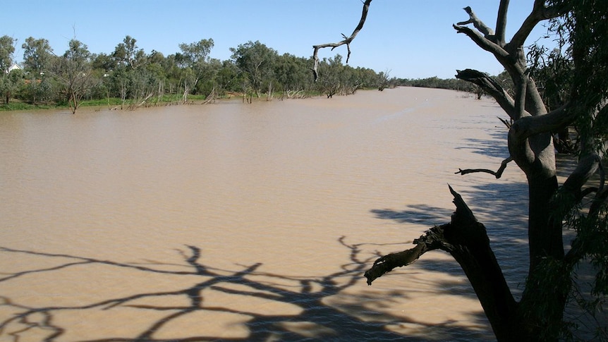 Warrego River, Cunnamulla