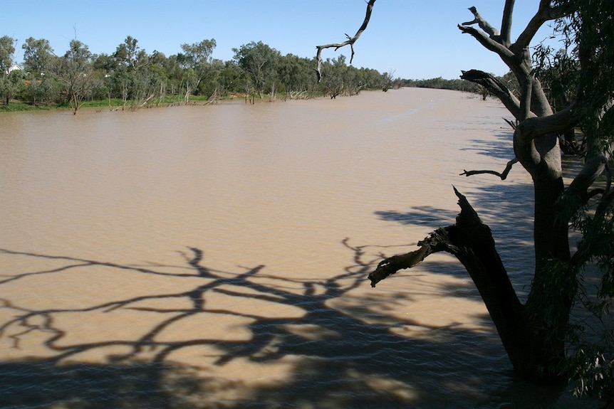 Warrego River, Cunnamulla