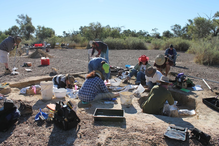 Scientists and volunteers hope to uncover more megafauna fossils during their Eulo dig.