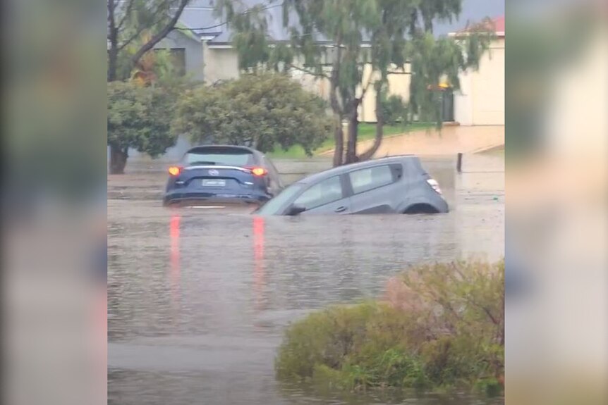Cars inundated by floodwaters in a suburban street