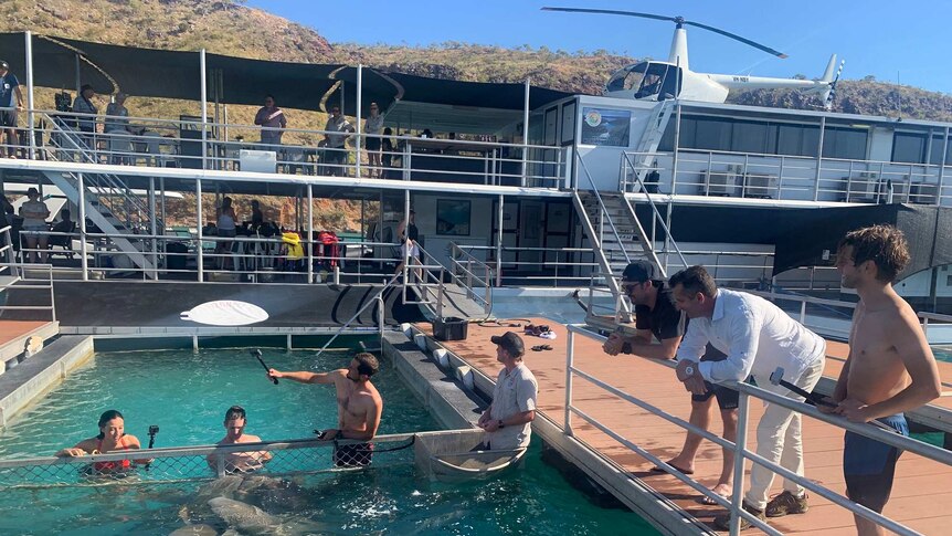 People swimming in and standing around a swimming pool under a sunny blue sky.