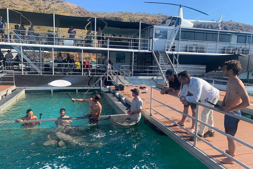 People swimming in and standing around a swimming pool under a sunny blue sky.