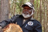 Gibson Farmer Illortaminni carries a log