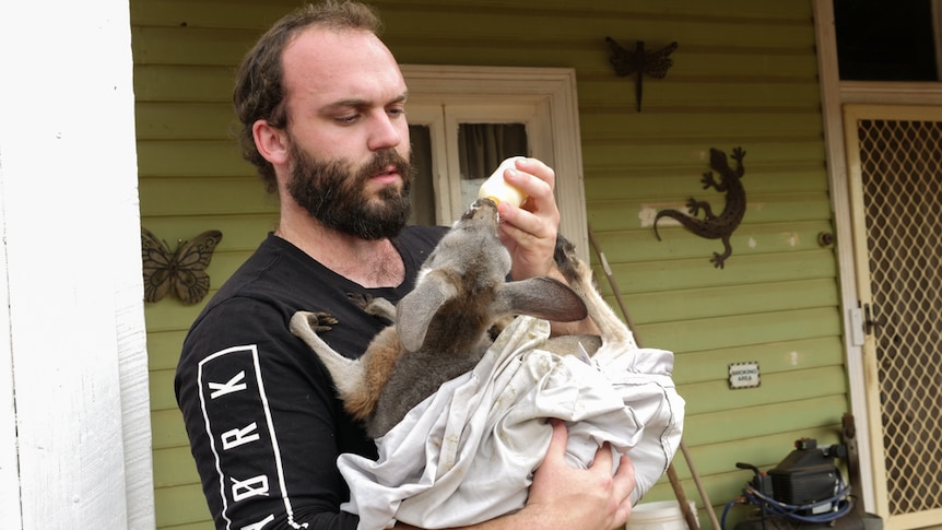 A man cradles a joey whilst bottle feeding it outside a weatherboard house.