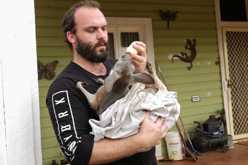 A man cradles a joey whilst bottle feeding it outside a weatherboard house.