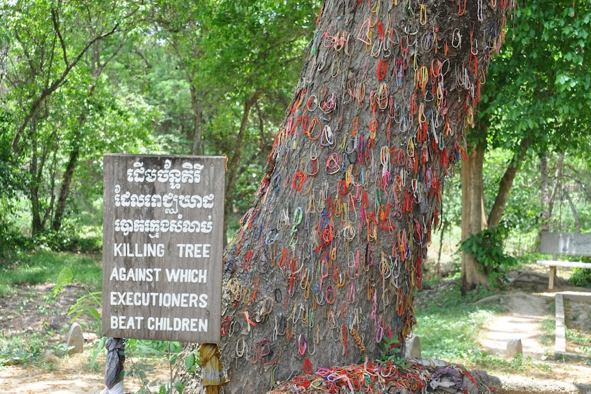 A tree with lots of colourful bracelets hanging off the bark with a sign in Khmer reading: Killing tree