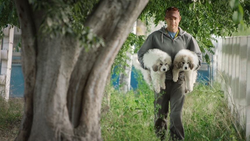 A man carrying two puppies in his arms.