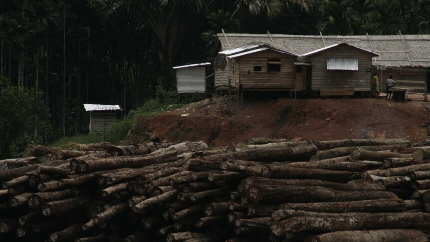 A pile of logs sits in a ditch in front of some buildings in Solomon Islands.