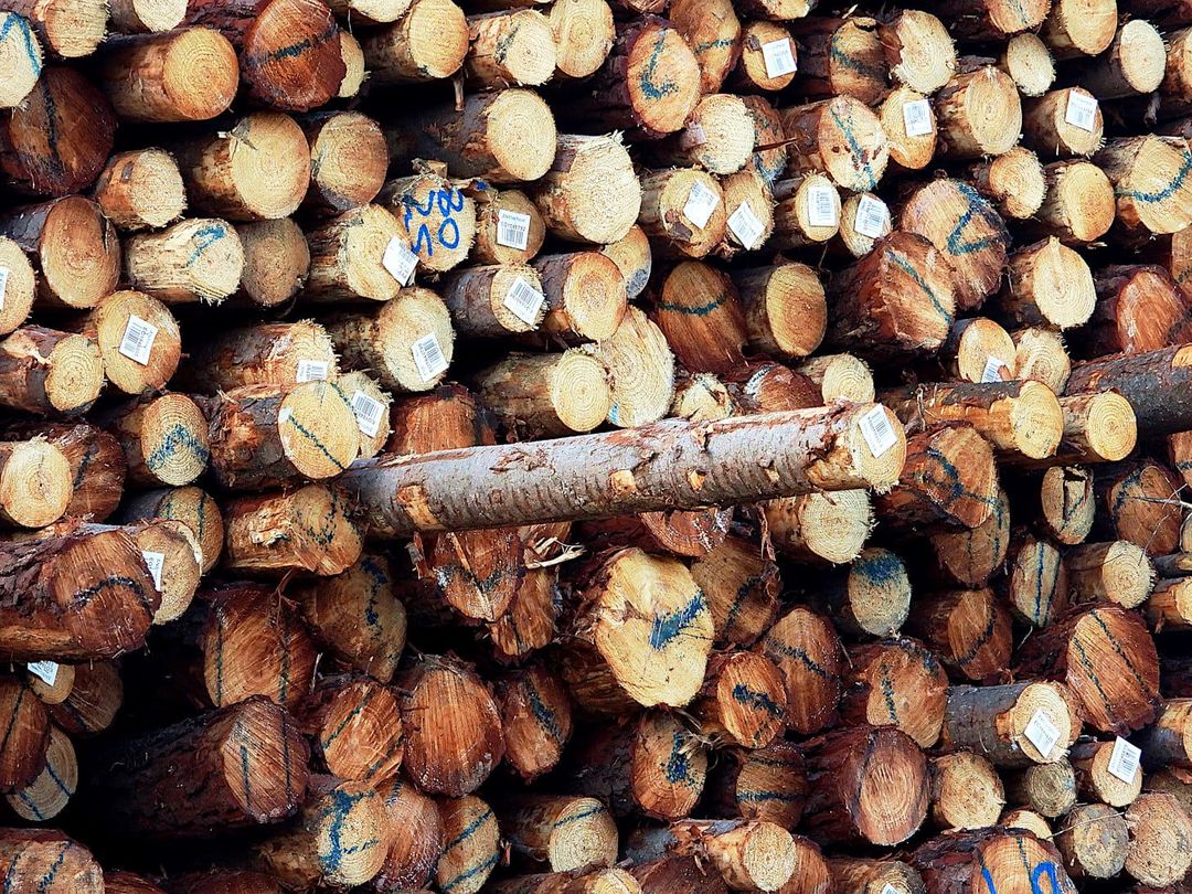 Timber Processors Under Pressure As Supply Dwindles And Prices Rise Abc News