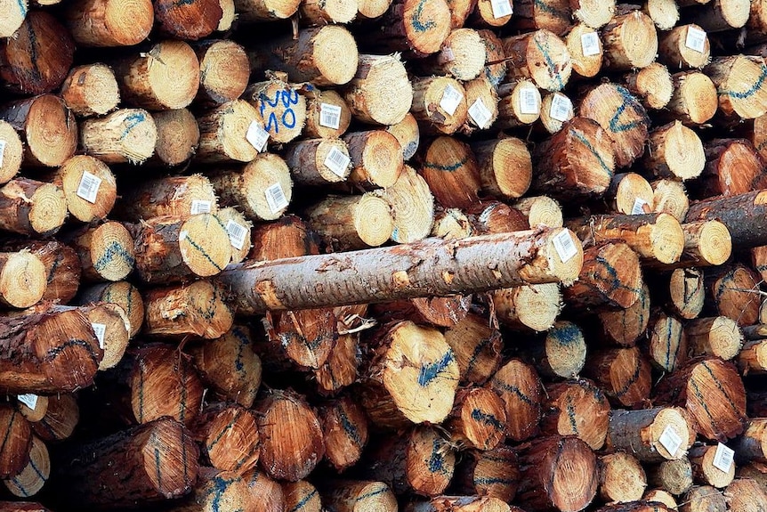 A wall of stacked logs.