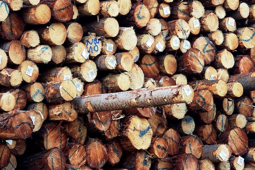 A pile of logs.