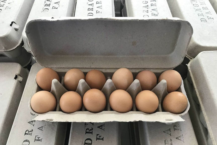 Pastured eggs in a carton.