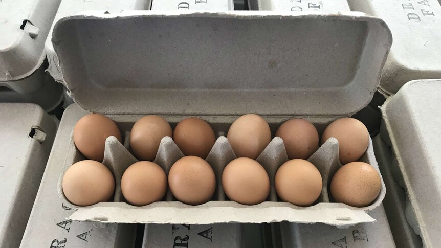 Pastured eggs in a carton.
