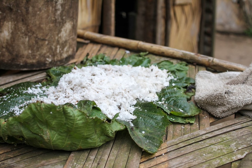 Coconut drying on leaves in a village on the island of Tanna in Vanuatu.