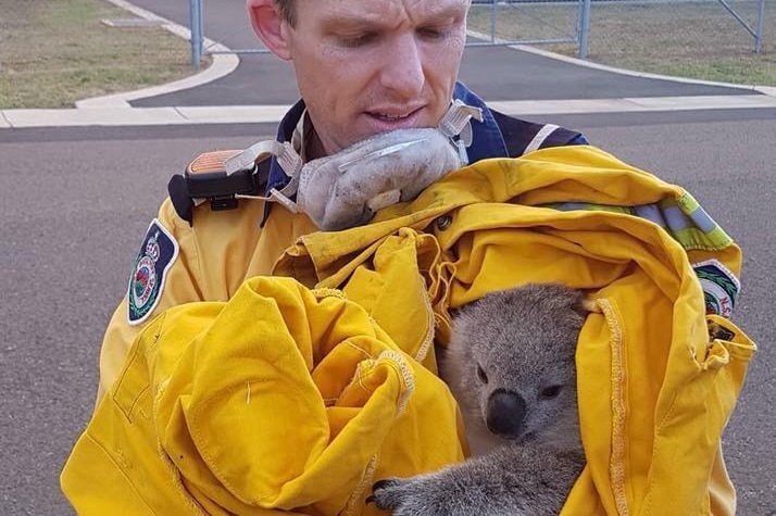 A firefighter holding a koala.