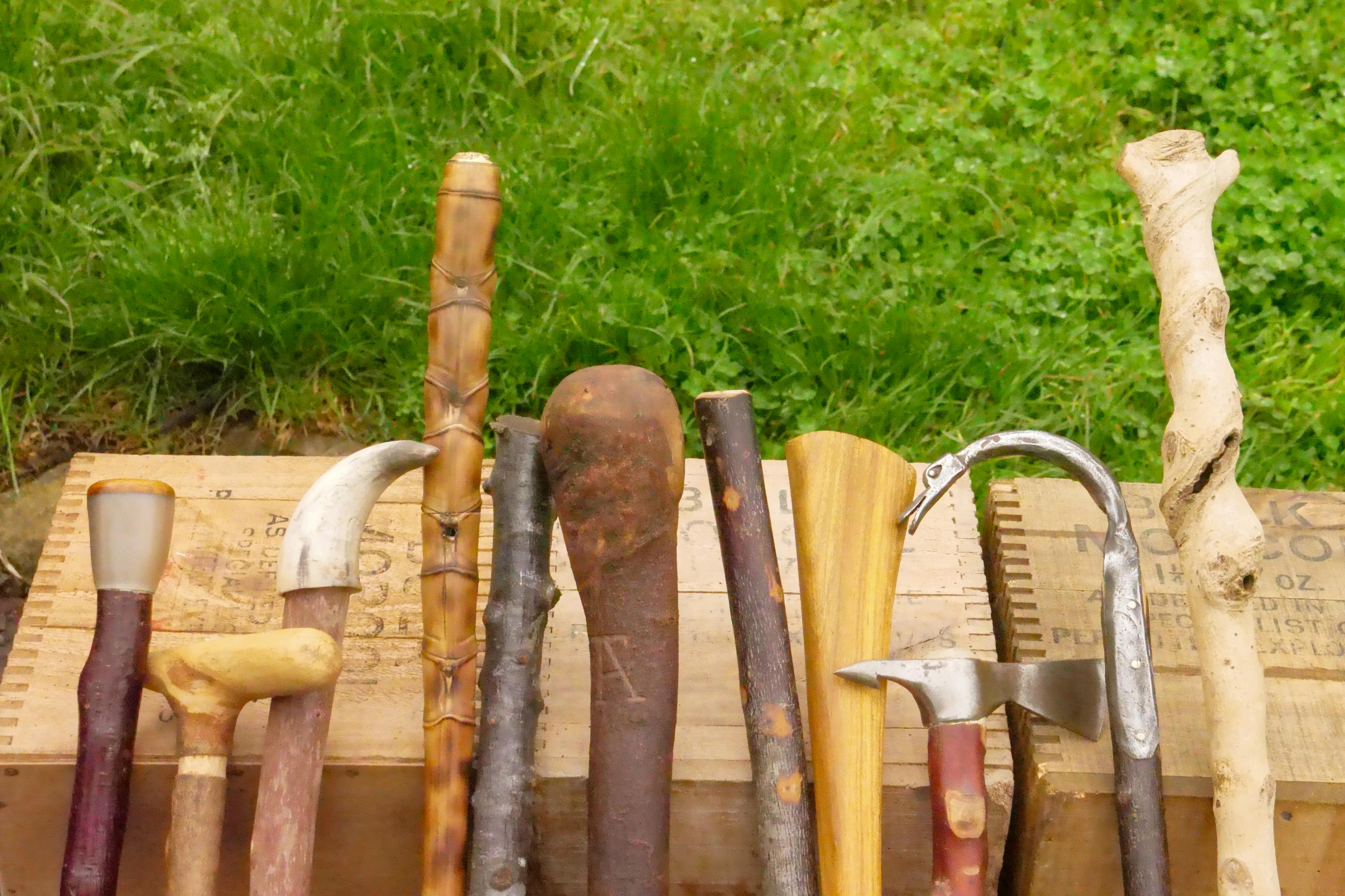 Walking sticks laid on a bench.
