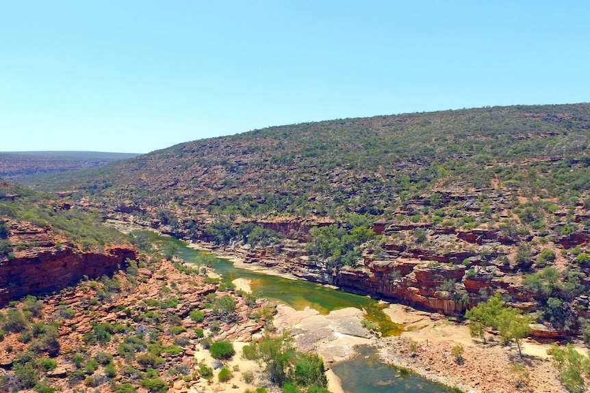 An aerial view of a gorge at Kalbarri