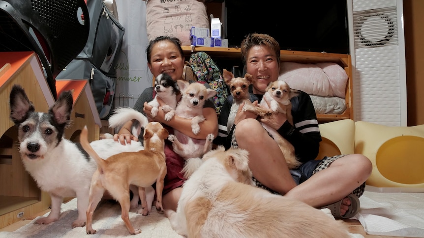 Two Korean women smile as they sit on the floor surrounded by dogs of different sizes and breeds. 