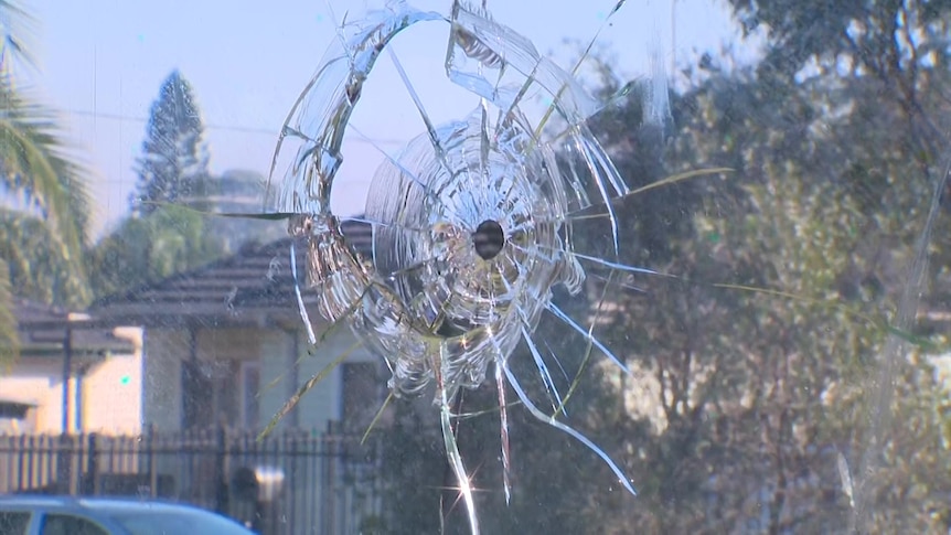a smashed window with a bullet hole after a targeted shooting