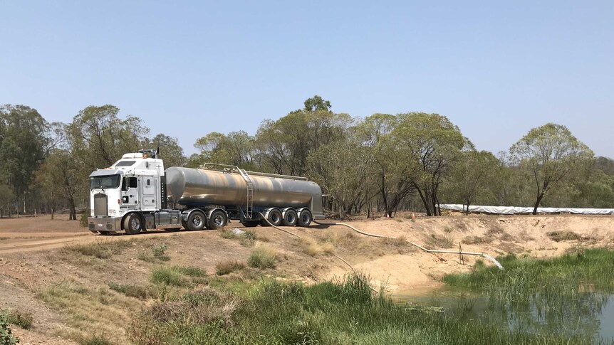 A truck empties water into a small dam at Brisbane Valley Feedlot.