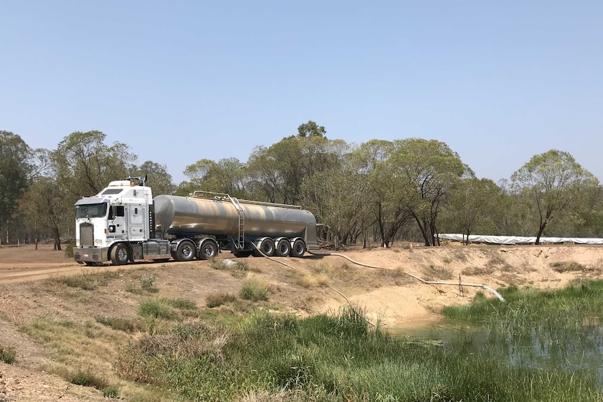 A truck empties water into a small dam at Brisbane Valley Feedlot.