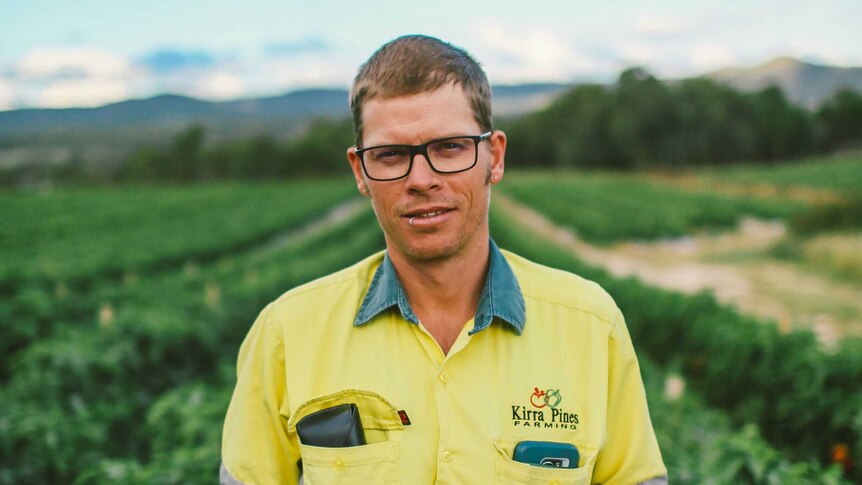 Tim Carnell holds a capsicum in his hand in the field.
