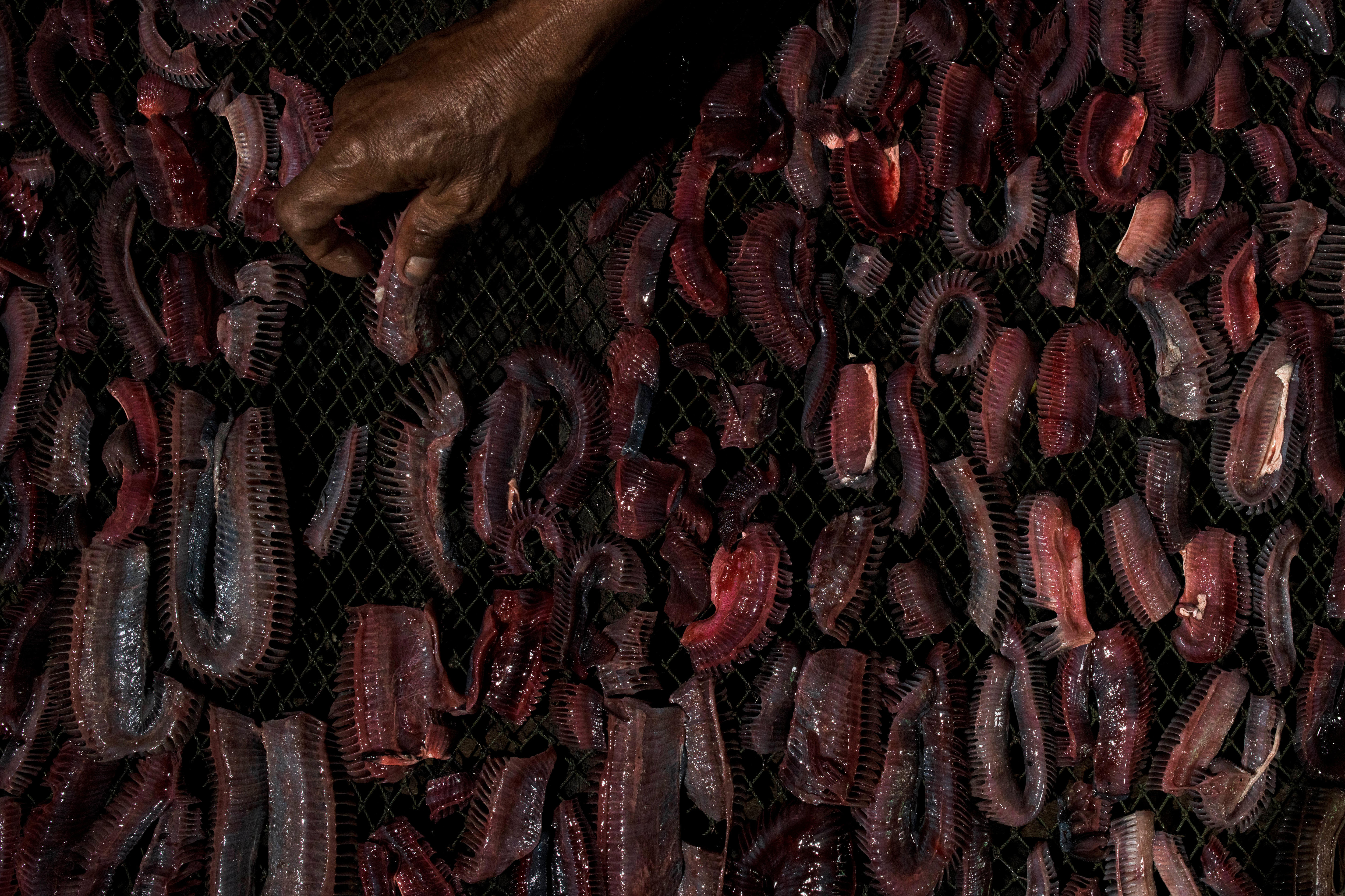 Sirachai Arunrugstichai Ocean Portfolio Award 3