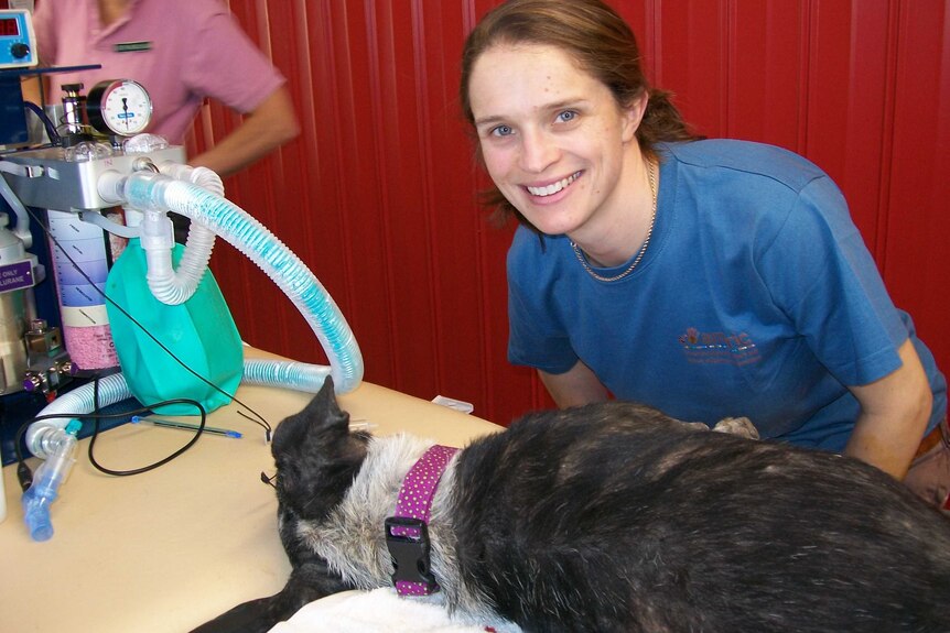 Canberra vet Dr Alison Taylor in the Northern Territory.