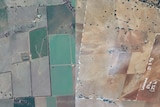 Two maps of a farm, one green and one covered in dust
