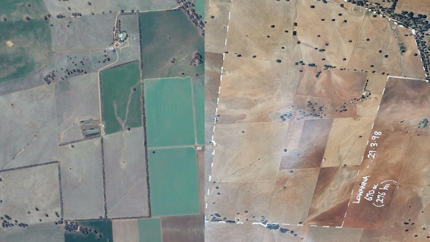 Two maps of a farm, one green and one covered in dust