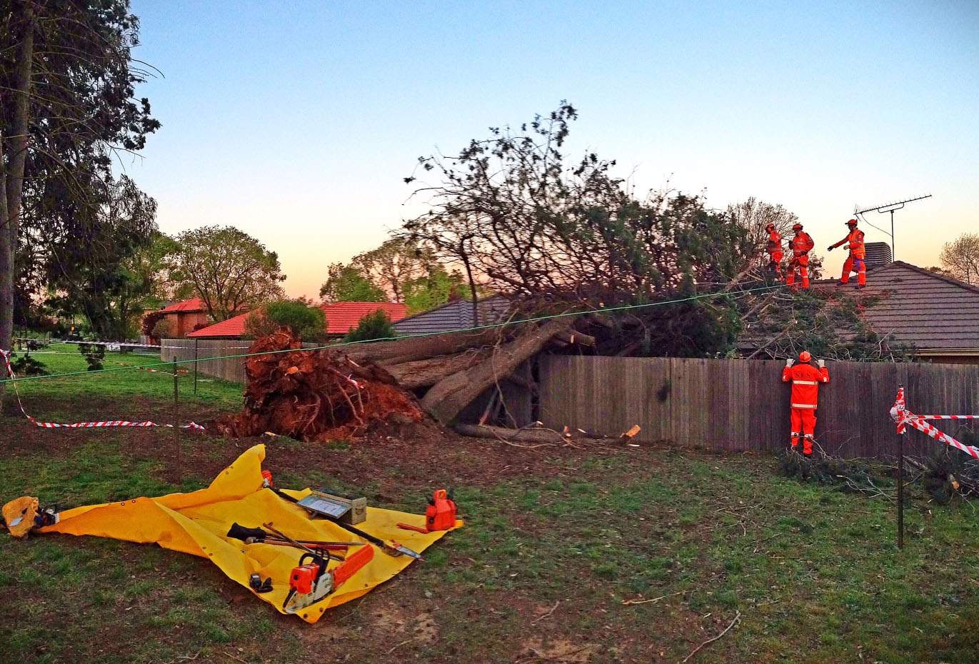 Wild winds bring down trees, cut power in Canberra - ABC News
