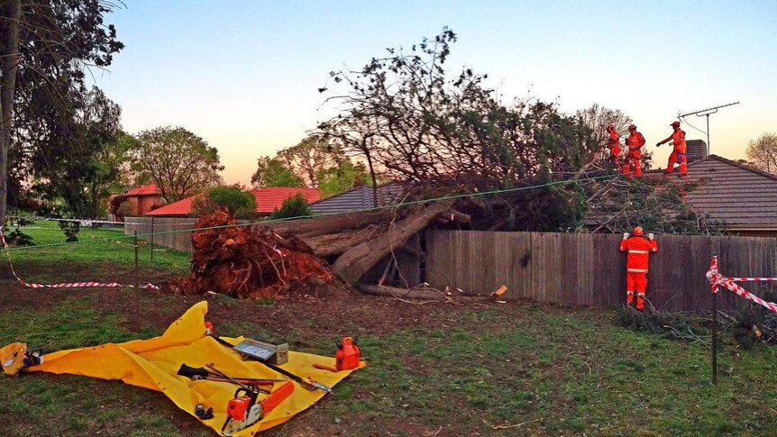 One house at Duntroon was seriously damaged after being hit by three trees during high winds in Canberra.