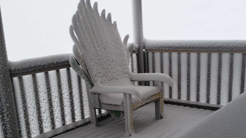 Snow covered chair.