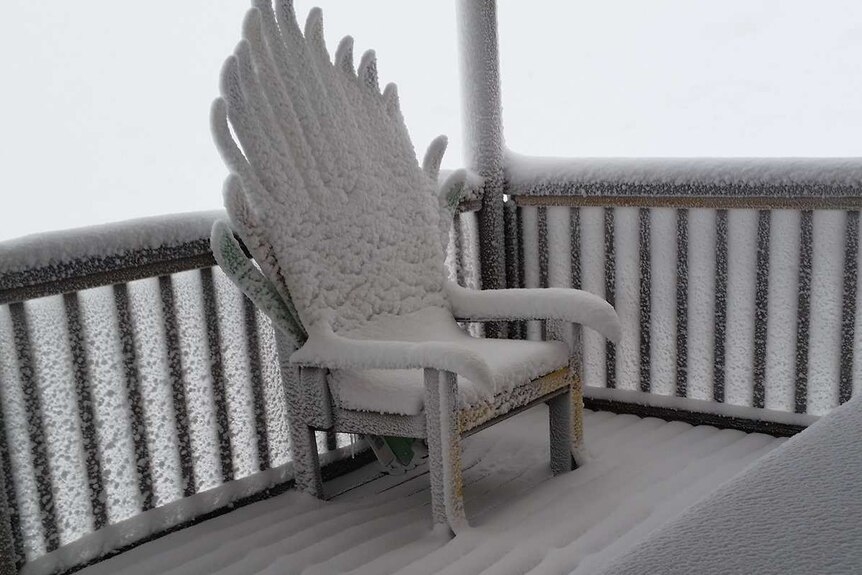 Snow covered chair.