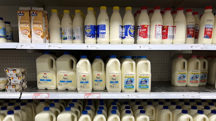 Milk bottles on shelves