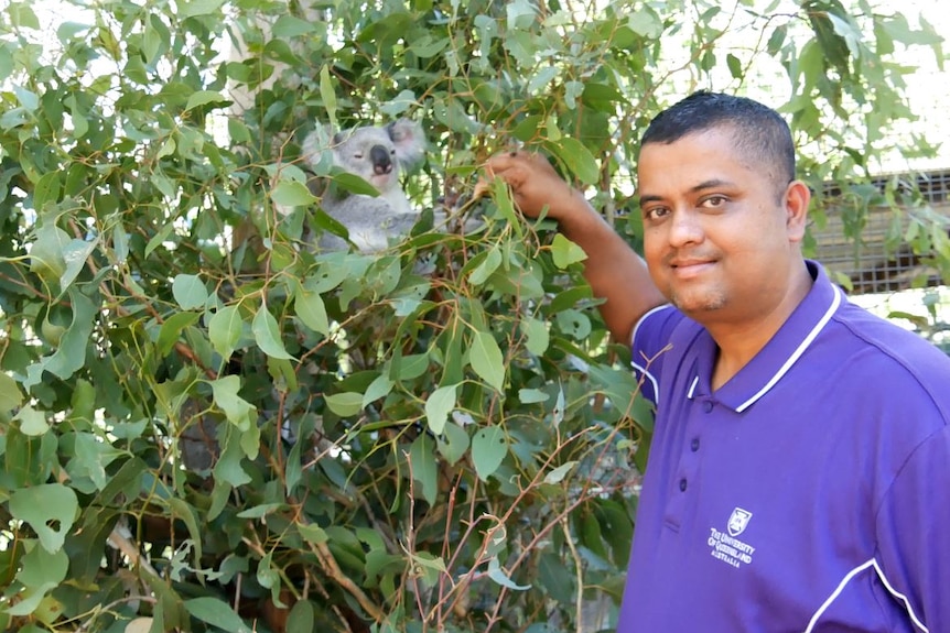 A man, wearing a purple shirt, pictured with a koala.