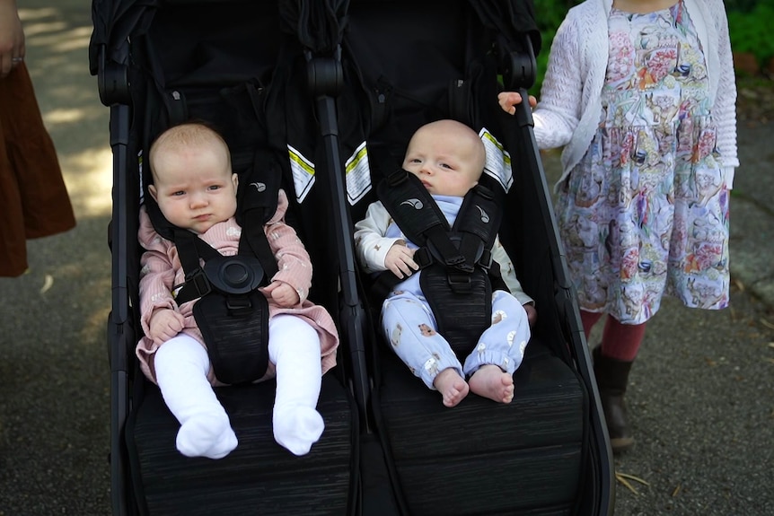 Twins sit side by side in a double pram