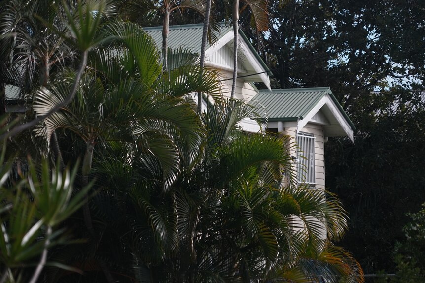 close up shot of a house awning with a palm tree in the foreground