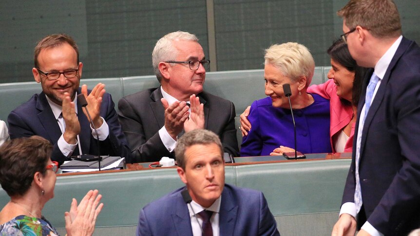 Mr Bandt and Mr Wilkie are clapping while Ms Banks hugs Dr Phelps. Labor MPs sit in front of them.