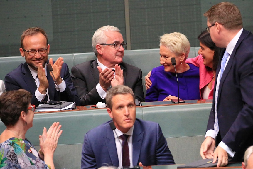 Mr Bandt and Mr Wilkie are clapping while Ms Banks hugs Dr Phelps. Labor MPs sit in front of them.