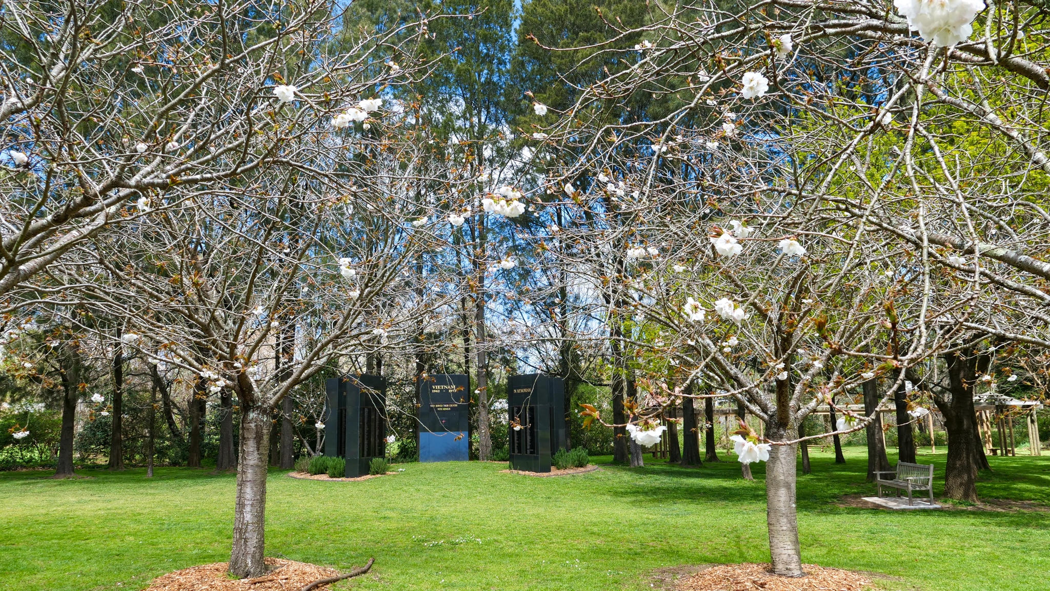 A war memorial with cherry blossoms in front.