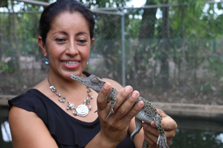 Crocodylus Park owner Giovanna Webb holds a baby crocodile.