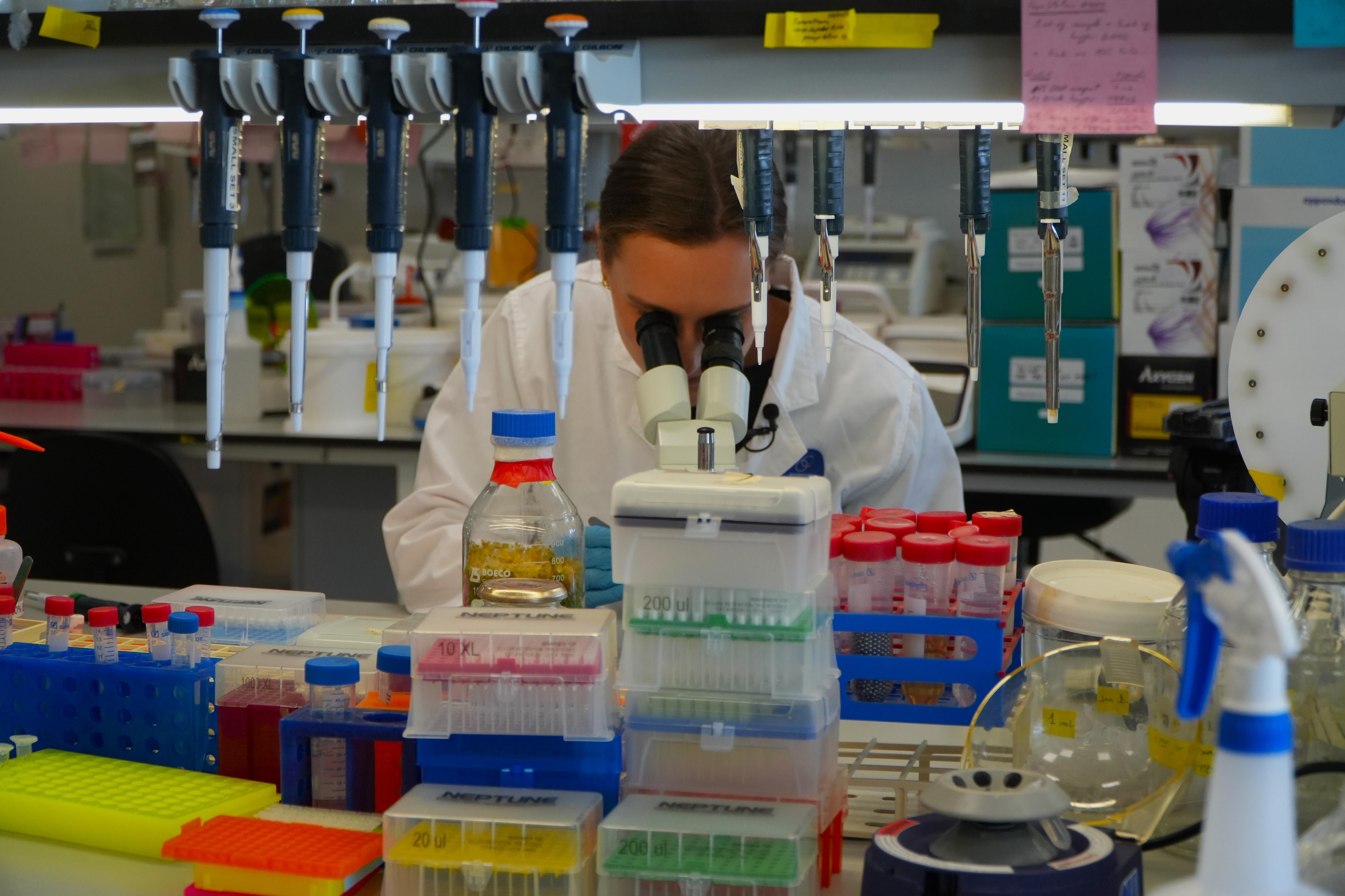 Plants for Space researcher Leni Campbell-Clause observing under a microscope.