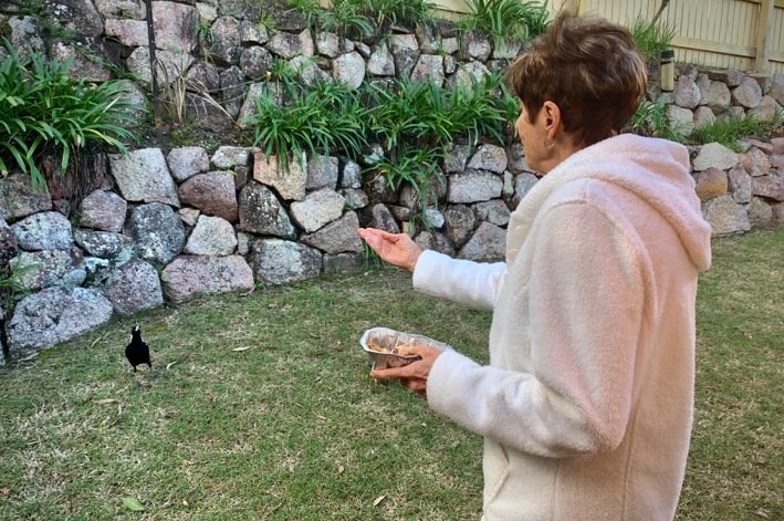 A woman faces a magpie on the grass holding out food in her hand