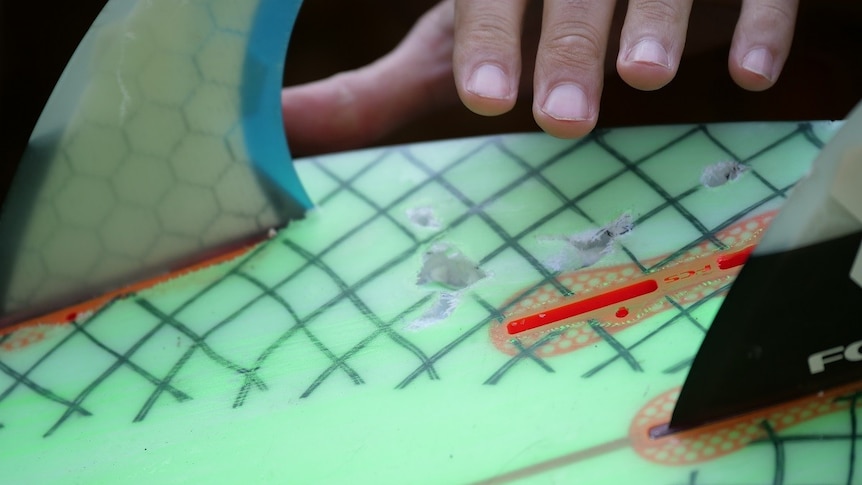 Shark teeth marks in Alex Travaglini's surfboard