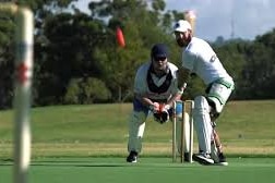 Cricket batsman hitting ball